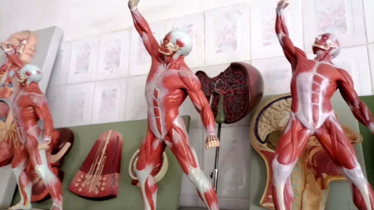 سفری علمی به پژوهش‌سرای صدرا بروجن