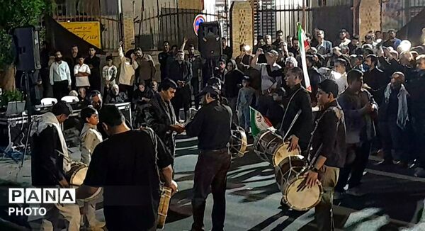 تجمع دفاع از انقلاب مهدوی