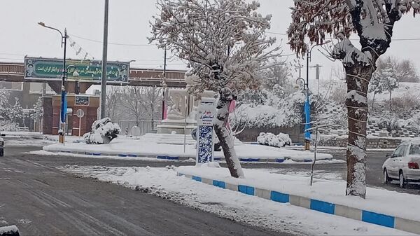 شازند سفیدپوش شد