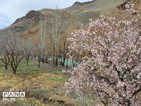 زاینده‌رود نفس سبز بهار