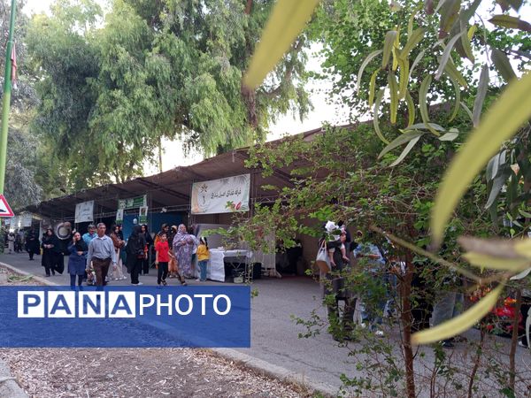 جشنواره ملی مغ مهرگان در حاجی‌آباد