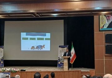 نشان‌دار کردن مالیات پرداختی در بخش سلامت و آموزش 