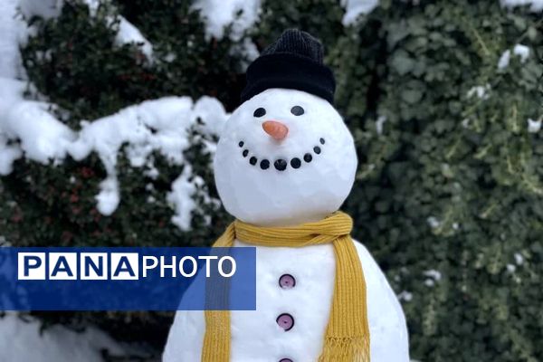 قابِ سفیدِ زمستان فـیـروزکــوه