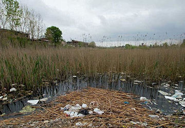 پسماندها را با خود از محیط تالابی خارج کنیم 