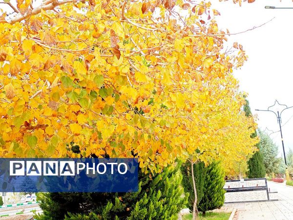 کاشمر در برگریزان پاییز