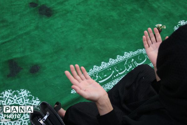 زنجان در سوگ دردانه کربلا؛ آیین عزاداری حضرت رقیه (س)