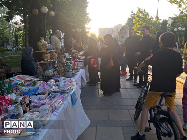 پویش «تکیه گاه» در پارک باغ ایرانی کرج 