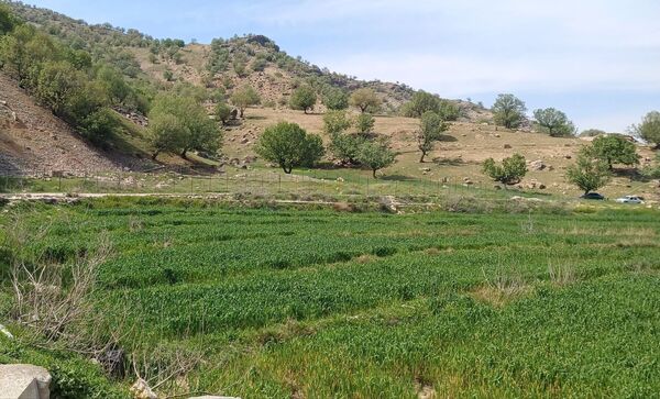 طبیعت روستای بارز، طبیعتی زیبا در دل استان چهارمحال‌وبختیاری 