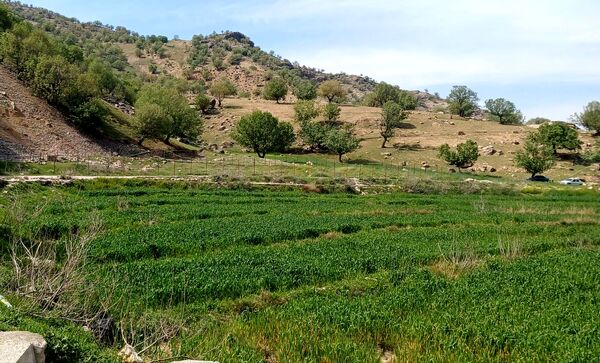 طبیعت روستای بارز، طبیعتی زیبا در دل استان چهارمحال‌وبختیاری 