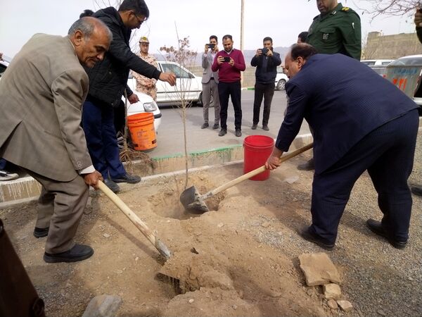 مراسم درخت کاری در مدرسه پویندگان فرهنگ شهرستان خلیل آباد 
