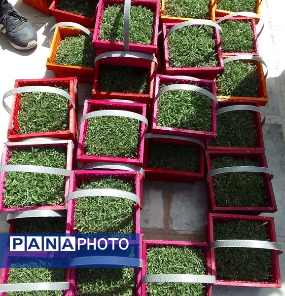 جاذبه‌های دیدنی شهرکرد برای عید نوروز