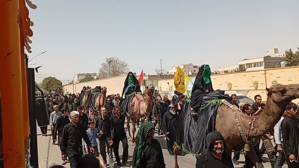 برپایی موکب عشاق الحسین در استان یزد