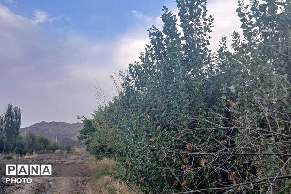 باران شدید در روستای مرزی قَتلیش