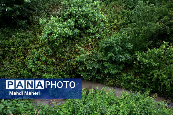 بازدید نماینده دولت و وزیر آموزش و پرورش از پروژه‌های عمرانی شهرستان سوادکوه