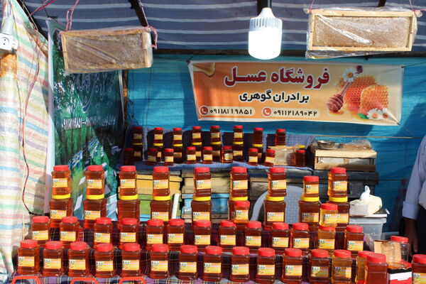 جشنواره عسل کَنِل بندپی شرقی