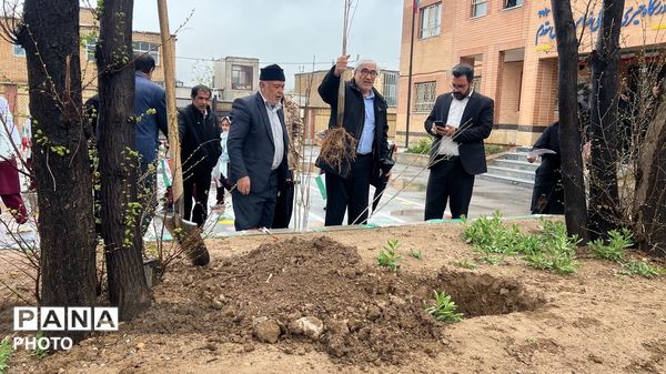 نهال‌ها در دبستان چلیچه به یاد شهدای مدرسه میناب می‌رویند