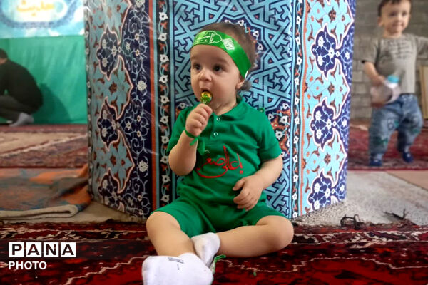 میعادگاه شیرخوارگان حسینی در نی‌ریز