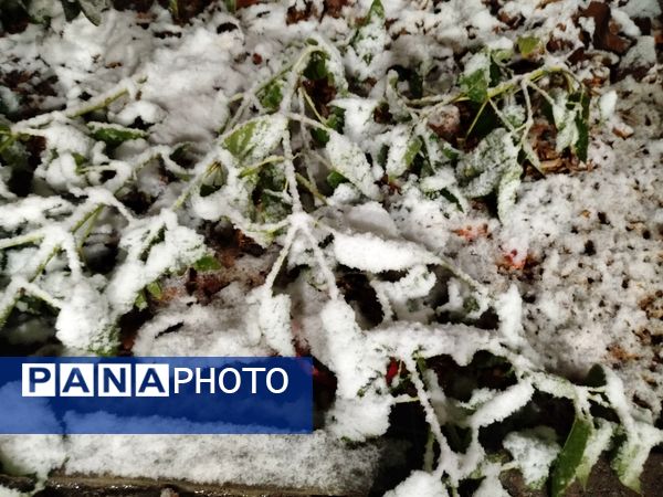 گذری بر دقایق اول بارش برف پاییزی در نیشابور 