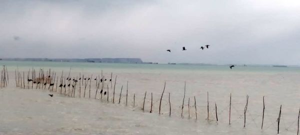 باران، چهره بندرعباس را تازه کرد