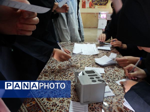 انتخابات همیار مشاور 