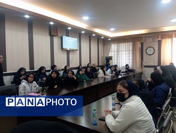 توانمندسازی همیار مشاوران مدارس ناحیه ۳ شیراز