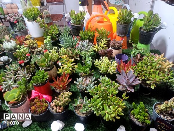 نمایشگاه گل و گیاه و سوغات در همدان