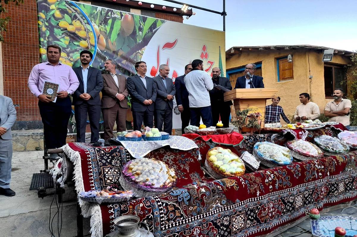 جشنواره آلو در ملحمدره؛ فرصت‌ساز برای ثبت جهانی و توسعه گردشگری شهرستان اسدآباد