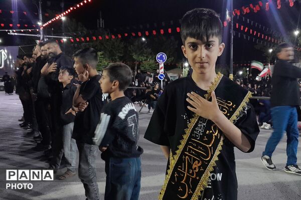 از کربلا تا ایران؛ عزاداران حسینی با پرچم ایران، پیام وحدت و استقامت را فریاد زدند