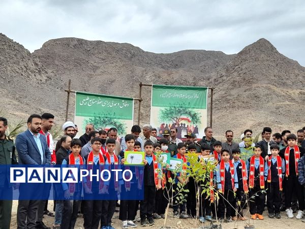 مراسم نمادین کاشت نهال در حاجی‌آباد 