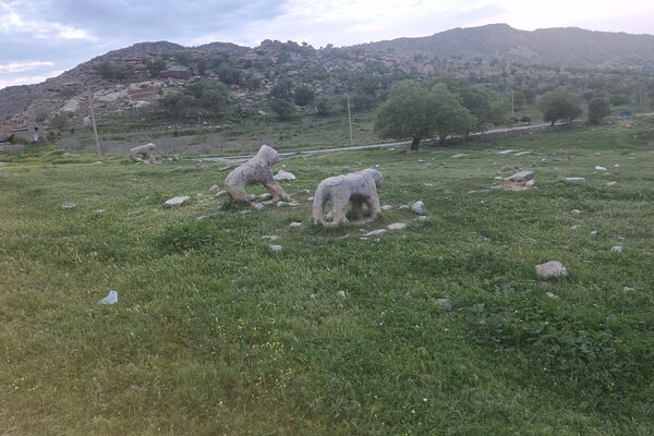 قبرستانی تاریخی و سرسبز به قدمت چند صد ساله در فارس