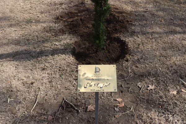 دانشگاه سبز می‌اندیشد