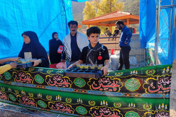 پذیرایی موکب‌ها از جاماندگان اربعین حسینی در دیشموک
