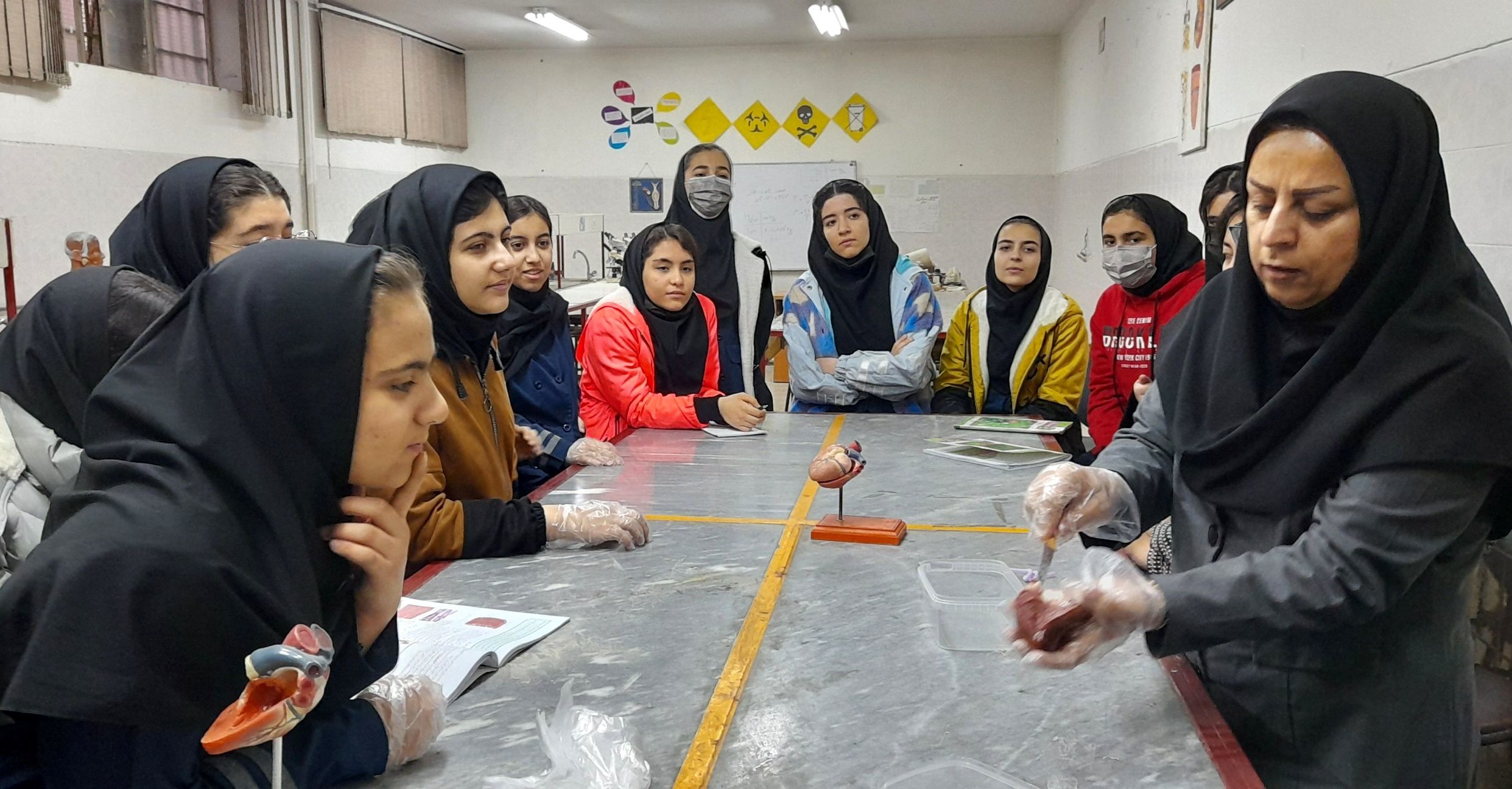 کارگاه تشریح قلب و آناتومی بدن انسان