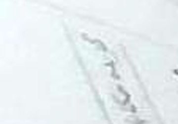 کتاب خواندن، گامی برای تقویت مهارت خواندن