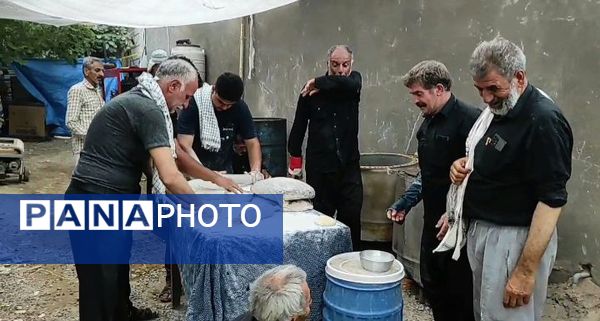  فعالیت‌های موکب امام حسن مجتبی(ع) فلاورجان در کربلا