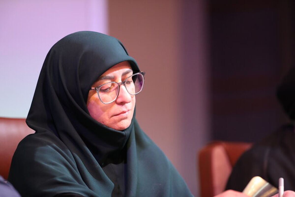 انصاری: رسانه‌ها، شریک اجتماعی حفاظت از محیط‌زیست هستند​