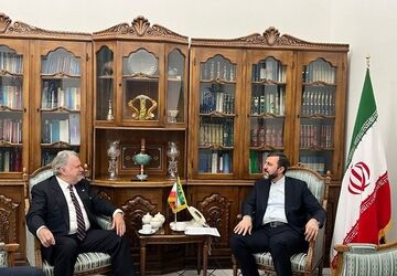 رایزنی غریب‌آبادی با یک مقام سازمان ملل