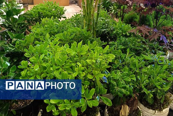 یازدهمین نمایشگاه گل و گیاه، صنایع دستی و سوغات اقوام ایرانی در اصفهان