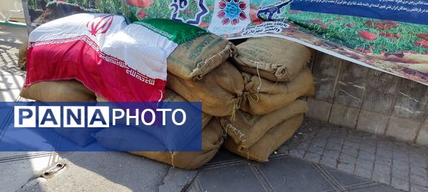 همایش پیاده‌روی خانوادگی به‌مناسبت هفته دفاع مقدس در نیشابور