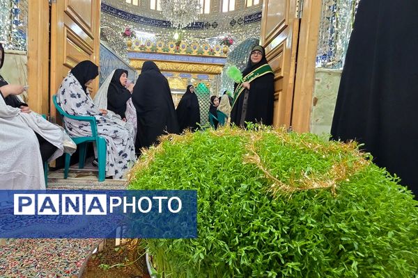جشن نیمه شعبان در امامزاده عمادالدین رباط‌کریم
