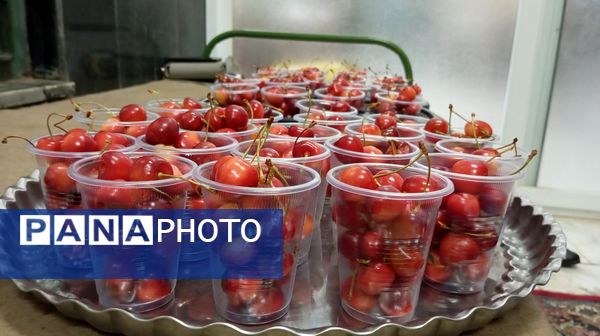 مراسم استقبال از ماه محرم و گرامیداشت شهدای حمله صهیونیستی