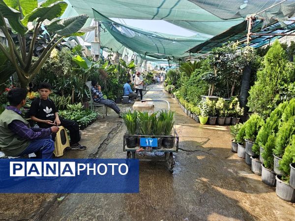 حال و هوای خاص در بازار گل محلاتی