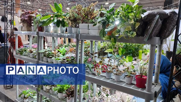 نمایشگاه فروش پاییزه در قائمشهر