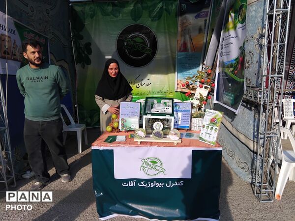 اولین جشنواره سیب در شیروان