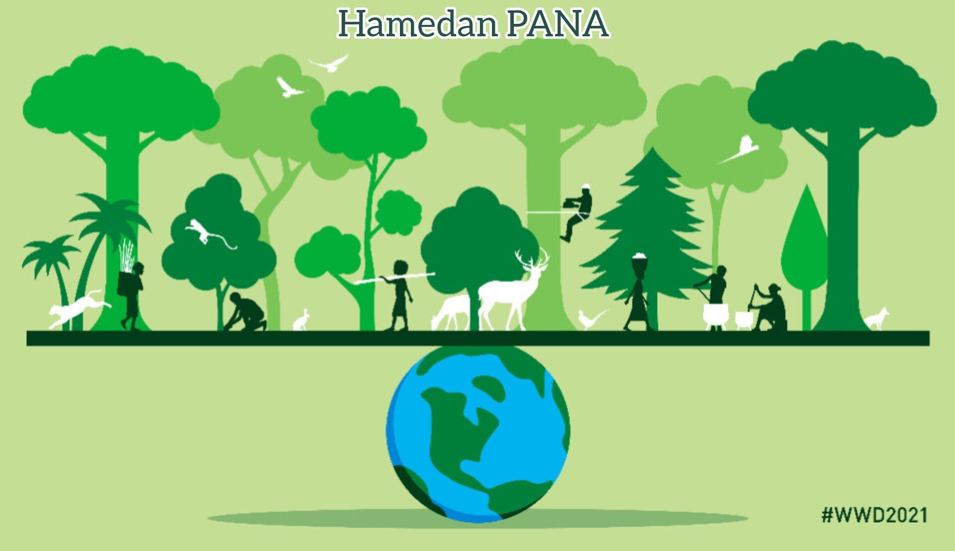 جنگل‌ها و غذاها؛ پیوندی برای حیات بشر