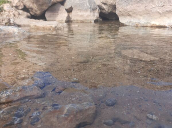 طبیعت شهر سودجان در بهار