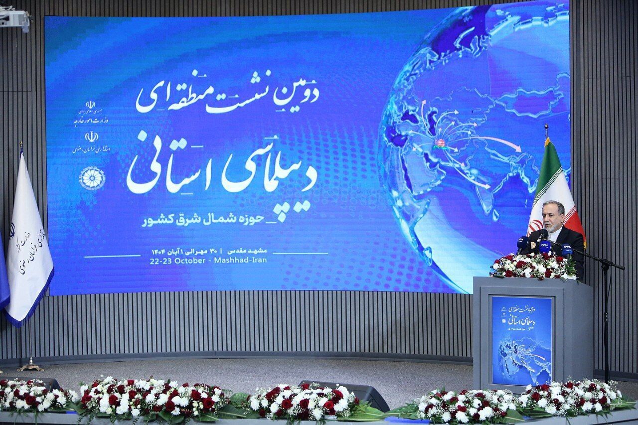 دیپلماسی استانی به یک اصل مهم در سیاست خارجی کشور تبدیل شده است