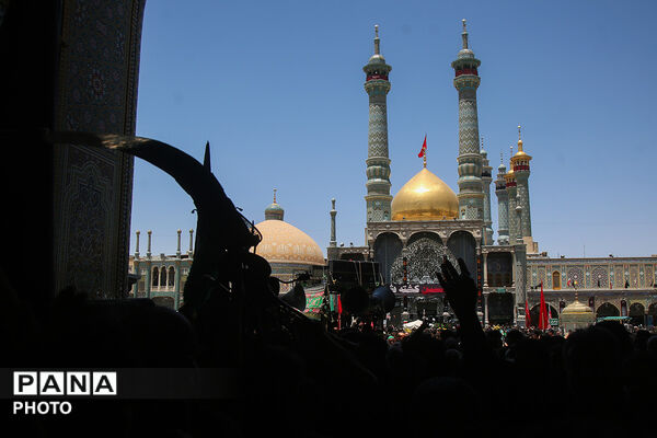 عرض تسلیت هیات های عزاداری به آستان مقدس حضرت معصومه(س) در روز عاشورا