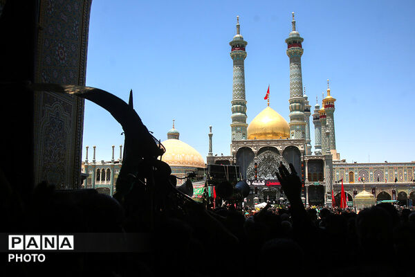 عرض تسلیت هیات های عزاداری به آستان مقدس حضرت معصومه(س) در روز عاشورا