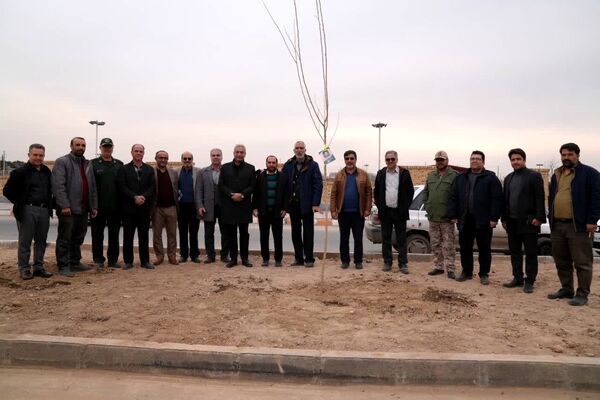 کاشت درخت به یاد شهدا در محمدشهر 